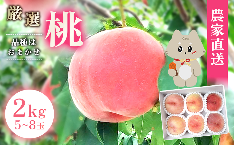 【先行予約】《7月中旬～9月中旬出荷》 宮城県丸森町産 桃 5～8玉（約2kg）|宮城県 丸森町 桃 もも モモ 2kg 1箱 果物 もも品種おまかせ 白桃 黄桃 暁星 あかつき 白桃 黄金桃 黄貴妃 きららのきわみ 産地直送  ふるさと納税【4800401】