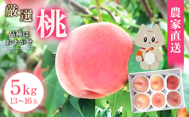 【先行予約】《7月中旬～9月中旬出荷》　 宮城県丸森町産 桃 13玉～16玉（約5kg）|宮城県 丸森町 桃 もも モモ 5kg 1箱 果物 もも品種おまかせ 白桃 黄桃 暁星 あかつき 白桃 黄金桃 黄貴妃 きららのきわみ 産地直送  ふるさと納税【48005】