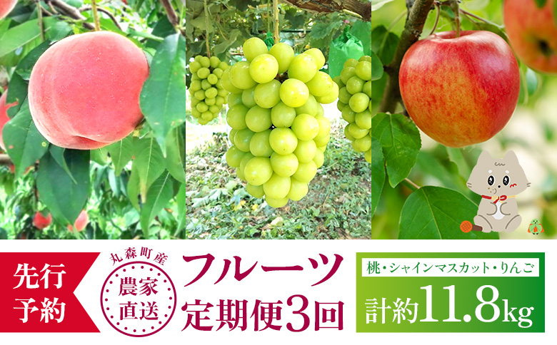 【先行予約】《採れたてを農家直送》 宮城県丸森町産 フルーツ定期便 コース2 （桃・シャインマスカット・りんご） | 桃 13玉～16玉 5kg 1箱 もも品種おまかせ シャインマスカット ぶどう ブドウ 葡萄 600g以上 3房 ふじりんご ふじ 林檎 リンゴ  14～18個 5kg 葉とらずりんご フルーツ 果物 農家直送 甘い 美味しい おいしい 旬 時期 デザート 採れたて フレッシュ 期間限定 産地直送 フルーツ定期便 宝ノ木果樹園 お取り寄せ 宮城県 丸森町 丸森【48008】