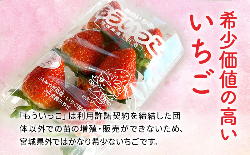 【2月発送】亘理町のいちご もういっこ 250g×4パック オンライン決済限定 仙台いちご