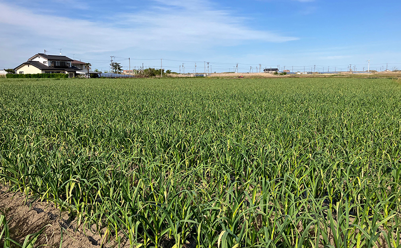 é»ã«ãã«ã æé« 450g ç¡æ·»å çæçºé
µ äºççºç£