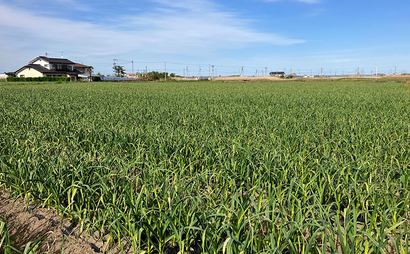 é»ã«ãã«ã æé« 180g ç¡æ·»å çæçºé
µ äºççºç£