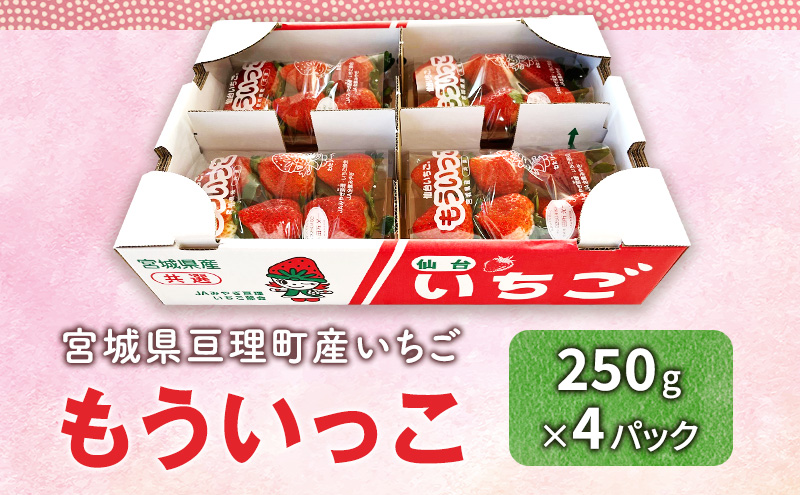 ã2æçºéããã¡ã äºççºã®ãã¡ã ãããã£ã 250g à 4ãã㯠ãªã³ã©ã€ã³æ±ºæžéå® å
è¡åä»äž èº æç© ãã«ãŒã ã€ã㎠ã»ãã