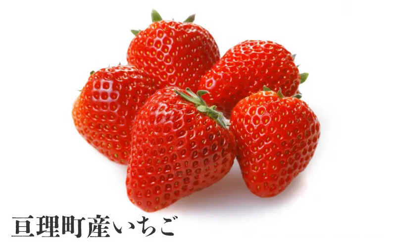 【亘理町いちご産】夢見る乙女1本 いちごワイン