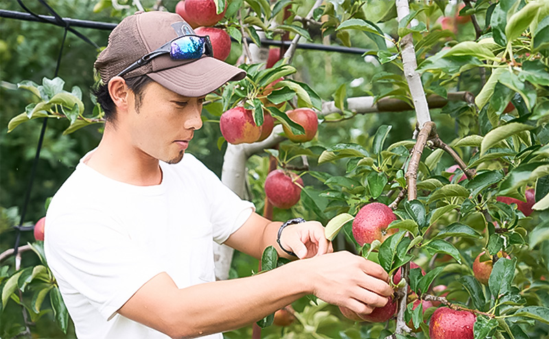 貎ョ鬚ィ繧翫s縺斐ず繝・繝シ繧ケ 1Lテ3譛ャ