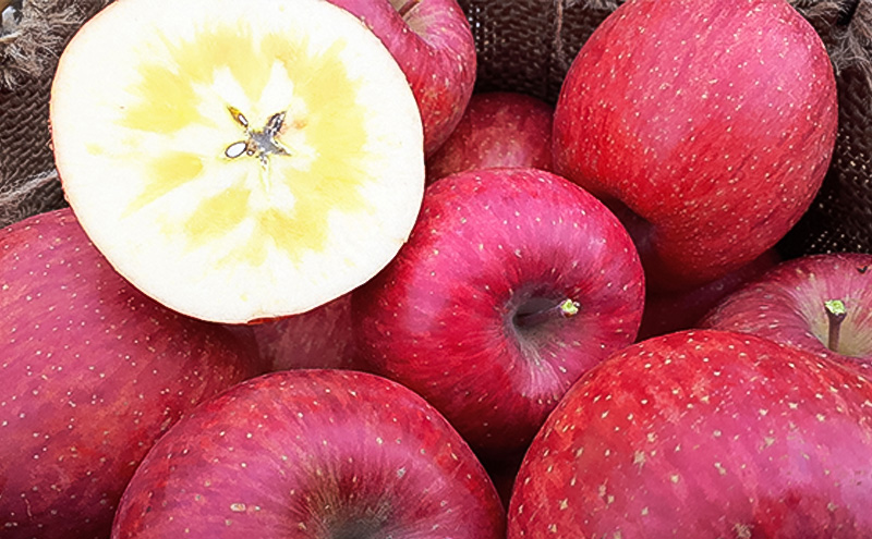 貎ョ鬚ィ繧翫s縺斐ず繝・繝シ繧ケ 1Lテ3譛ャ