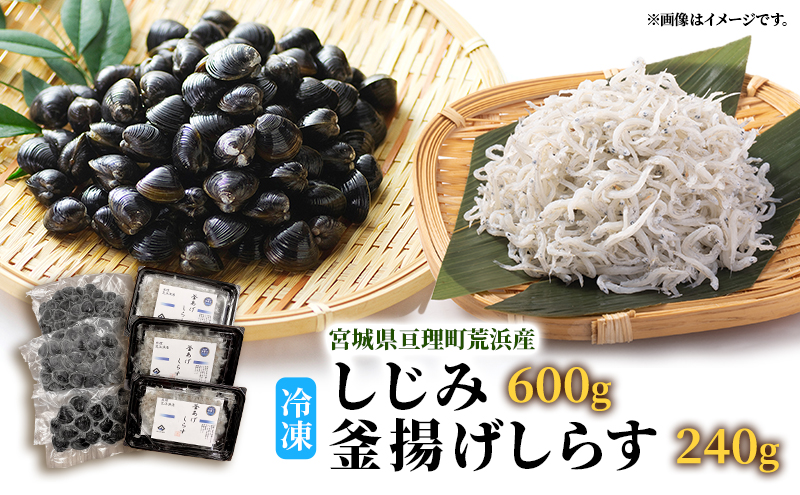 魚介 宮城県荒浜産 冷凍しじみ 600g 砂抜き済・冷凍釜揚げしらす 240g セット
