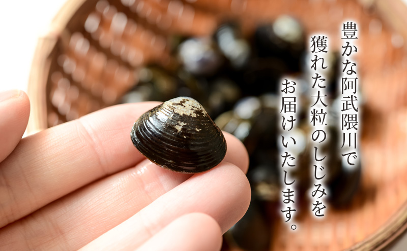 【先行受付】 砂抜き済み 宮城県亘理町産  冷凍しじみ約1.6kg（400g×4パック）