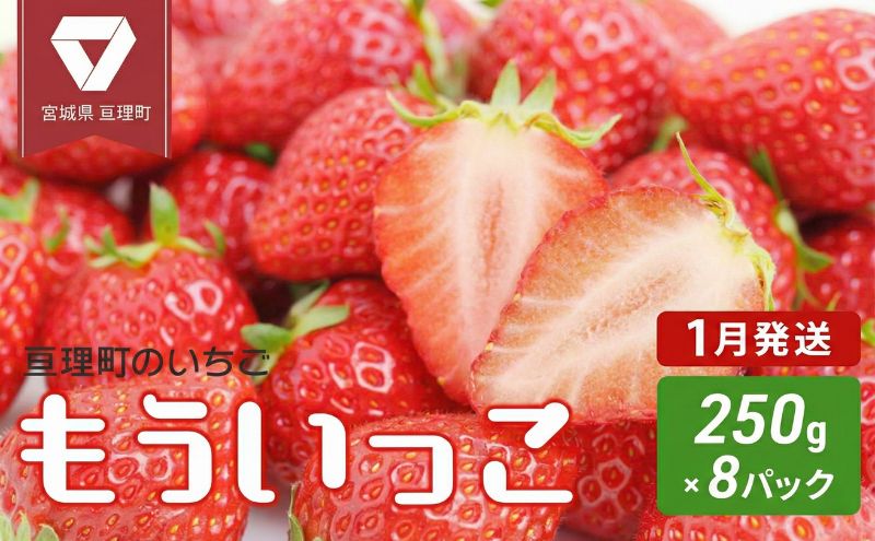 【1月配送】いちご 亘理町のいちご もういっこ 250g × 8パック オンライン決済限定 先行受付中！！ 苺 果物 フルーツ イチゴ セット