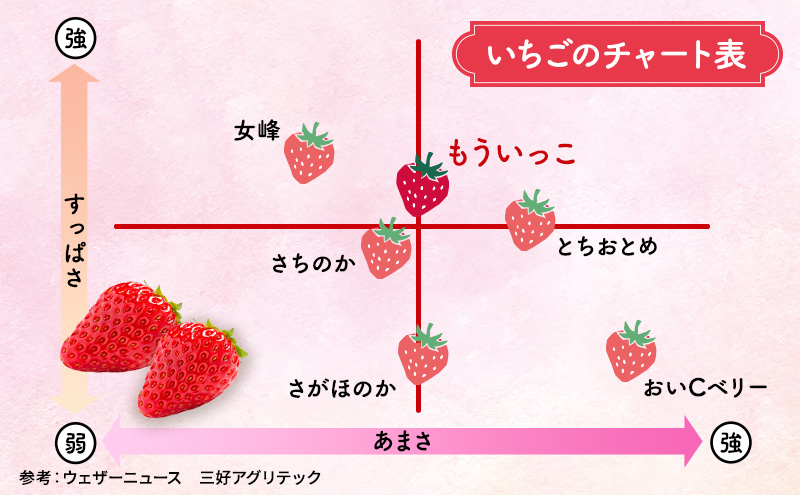 【3月発送】亘理町のいちご もういっこ 250g×8パック ＜オンライン決済限定＞※先行受付中！！ 果物詰合せ フルーツ 果物類 苺 イチゴ