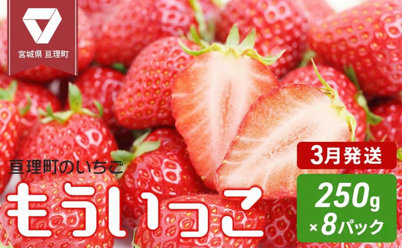 【3月発送】亘理町のいちご もういっこ 250g×8パック ＜オンライン決済限定＞※先行受付中！！ 果物詰合せ フルーツ 果物類 苺 イチゴ