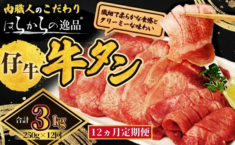 【12ヵ月連続定期便】柔らかい仔牛肉を仕込みました！ 牛タン はらからの逸品 厳選仔牛たん 3kg 250g×12回  職人仕込み 秘伝の塩味 牛たん 厚切り 小分け 厚切 焼肉 スライス 牛 牛肉 肉 お肉 ぎゅうたん おつまみ バーベキュー BBQ 【レビューキャンペーン対象】