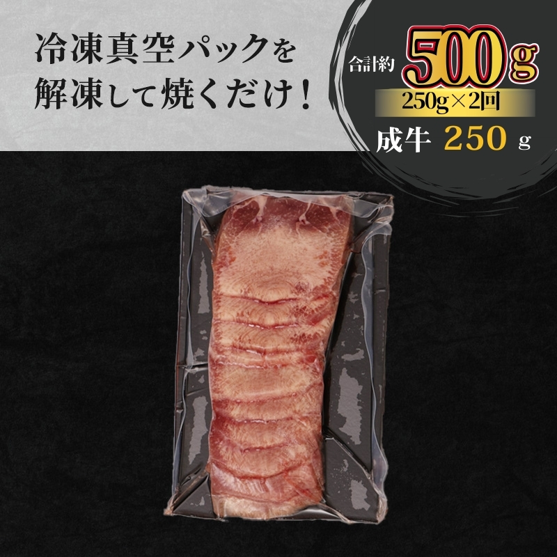 【2ヵ月連続定期便】大人気 牛タン 厳選成牛たん 500g 250g×2回 職人仕込み 秘伝の塩味 はらからの逸品 牛たん 厚切り 厚切 焼肉 スライス 牛 牛肉 肉 お肉 ぎゅうたん おつまみ バーベキュー BBQ 塩 はらから