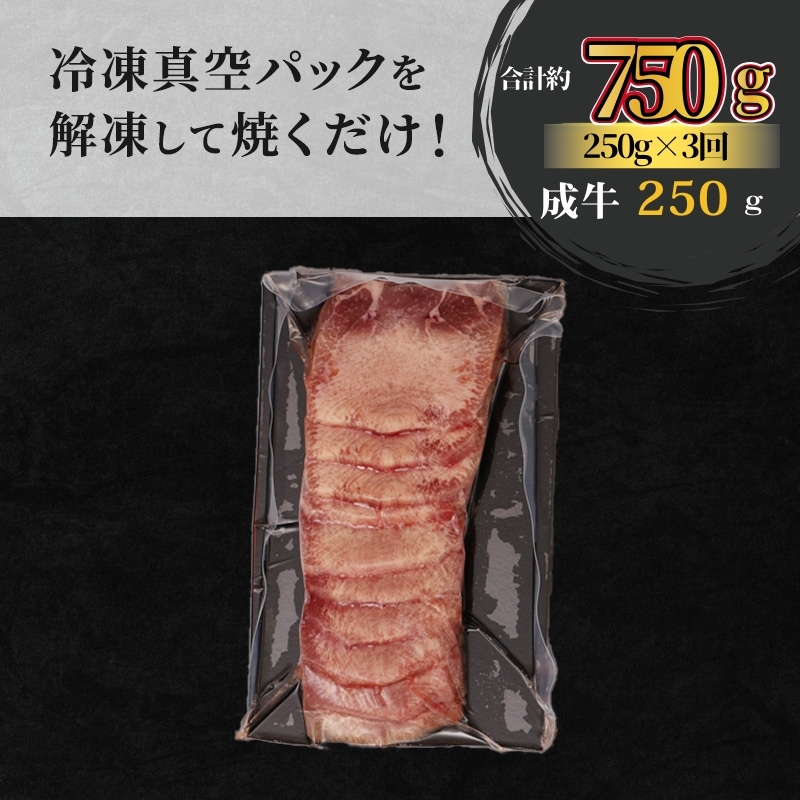 【3ヵ月連続定期便】大人気 牛タン 厳選成牛たん 750g 250g×3回 職人仕込み 秘伝の塩味 はらからの逸品 牛たん 厚切り 厚切 焼肉 スライス 牛 牛肉 肉 お肉 ぎゅうたん おつまみ バーベキュー BBQ 塩 はらから