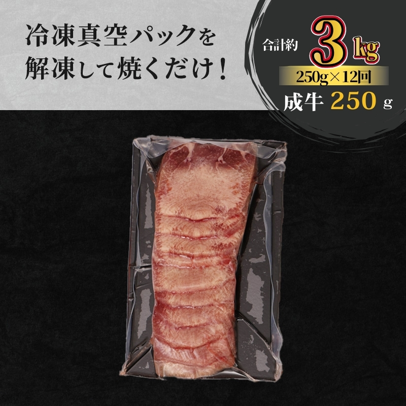 【12ヵ月連続定期便】大人気 牛タン 厳選成牛たん 3kg 250g×12回 職人仕込み 秘伝の塩味 はらからの逸品 牛たん 厚切り 厚切 焼肉 スライス 牛 牛肉 肉 お肉 ぎゅうたん おつまみ バーベキュー BBQ 塩 はらから