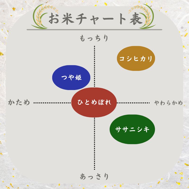 【定期便】 令和8年産 お米 食べ比べ 4種 セット 計10kg（ ひとめぼれ ・ つや姫 ・ ササニシキ ・ コシヒカリ 各 2.5kg ） 4ヶ月連続 精米  米 こめ コメ