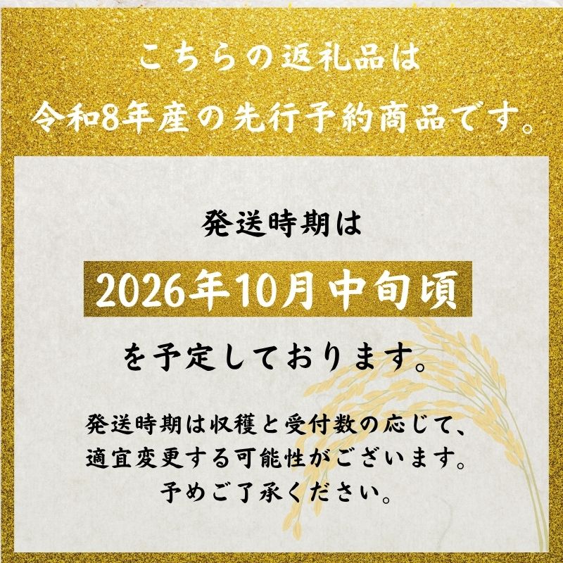 【定期便】 令和8年産 コシヒカリ 10kg 2ヶ月連続 精米 お米 米 こめ コメ  