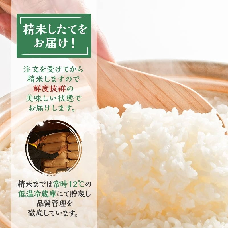 【定期便】 令和8年産 お米 食べ比べ 4種 セット 計10kg（ ひとめぼれ ・ つや姫 ・ ササニシキ ・ コシヒカリ 各 2.5kg ） 4ヶ月連続 精米  米 こめ コメ