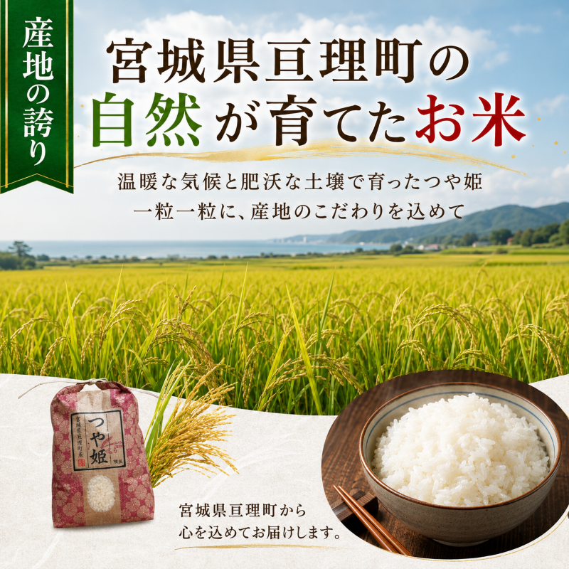 【定期便6回】 つや姫 5kg(5kg×1袋) 令和8年産 新米 先行予約 宮城県産 米 精米