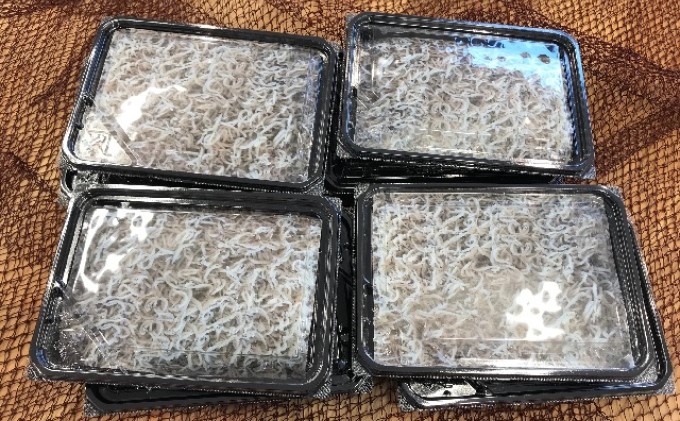 釜揚げしらす（冷凍）80g×8パック＜あらはま海苔＞ 魚貝類