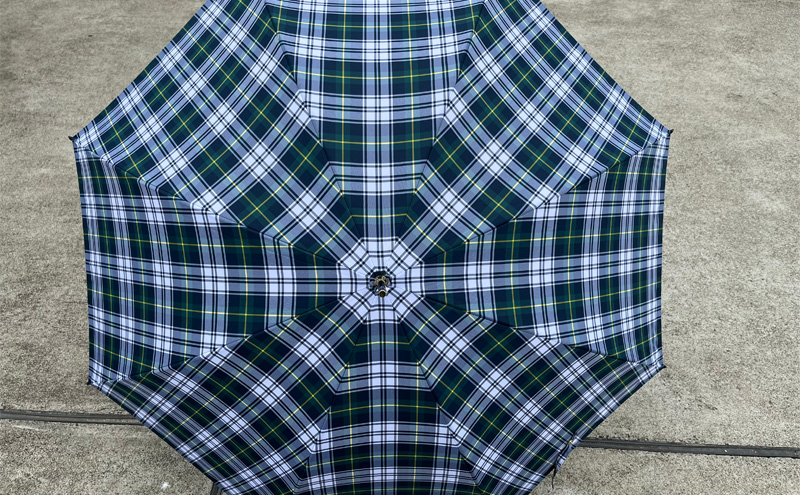 【 かさ 】雨傘 格子柄 駒取り 58cm［グリーン］（共袋付）男女共用 1本