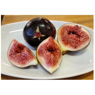 ãã²ããŸæèŸ²åã®ãžã§ã©ãŒãã»ããããã«ãŒããªãŒÃ4 å ã€ããžã¯(ããªã¬ãœãªãšã¹)Ã4 åããé
éäžå¯å°åïŒé¢å³¶ãã1419828ã