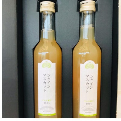 シャインマスカットジュース300ml×2本詰【配送不可地域：離島】【1273541】