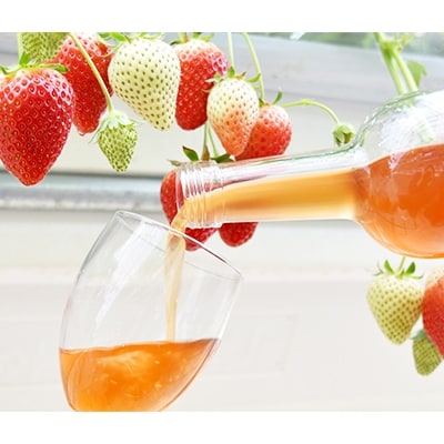 【山元いちご農園】　ワイン詰め合わせセット【配送不可地域：離島】【1110719】