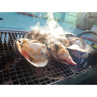 ホッキ貝15個(3〜4kg)【宮城県山元町磯浜漁港直送】獲れたての大粒北寄貝をお届けします 刺身でも【配送不可地域：離島】【1479869】