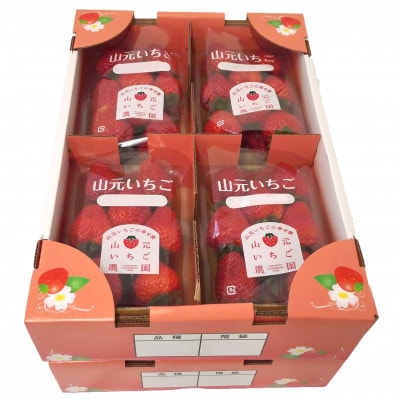 宮城いちご 2品種食べ比べセット 8パック【配送不可地域：離島・北海道・沖縄県・信越、北陸・近畿・中国・四国・九州】【1693722】