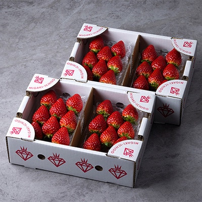 【毎月定期便】ミガキイチゴ・レギュラー(250g×4P)全3回【配送不可地域：離島】【4061513】