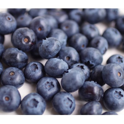 ブルーベリー原液 300ml×2本詰【配送不可地域：離島】【1505746】