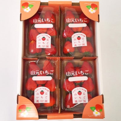 山元いちご農園 4品種食べ比べセット 4パック【配送不可地域：離島・北海道・沖縄県・信越、北陸・近畿・中国・四国・九州】【1693715】