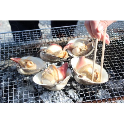 ホッキ貝15個(3〜4kg)【宮城県山元町磯浜漁港直送】獲れたての大粒北寄貝をお届けします 刺身でも【配送不可地域：離島】【1479869】