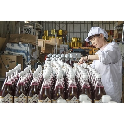 マルタのきぶどう白ぶどう1000ml12本詰合【配送不可地域：離島】【1140133】