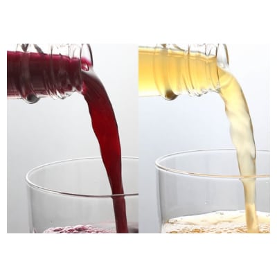 「マルタのきぶどう」詰合せセット(600ml×2本)【配送不可地域：離島】【1241160】