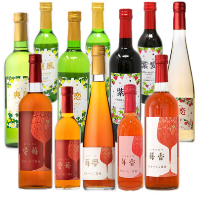 【山元いちご農園】　ワイン詰め合わせセット【配送不可地域：離島】【1110719】