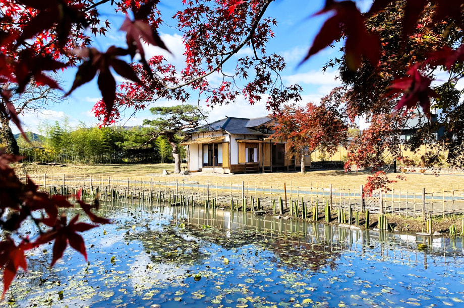 学校教育、生涯学習、文化財保護の推進