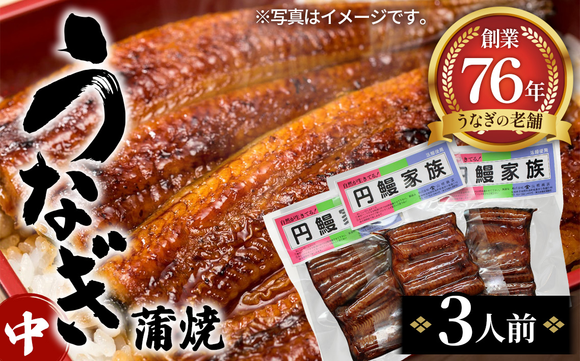 うなぎ蒲焼（中）3人前 No.098