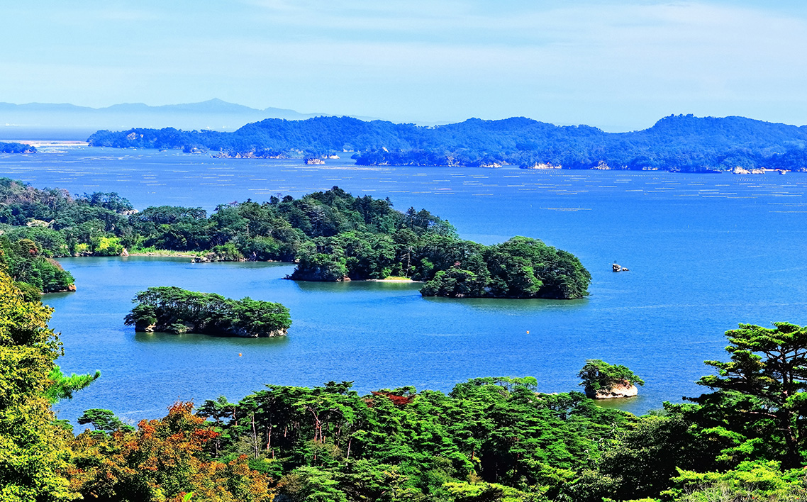 縲蝉サ、蜥7蟷エ蠎ヲ逕」縲第收蟲カ逕」繧オ繧オ繝九す繧ュ5kgテ2陲 No.092