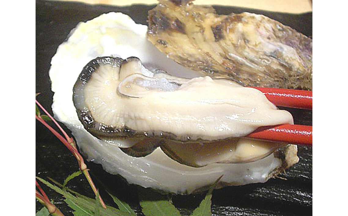 殻付き牡蠣10個＋オイスターナイフ No.175