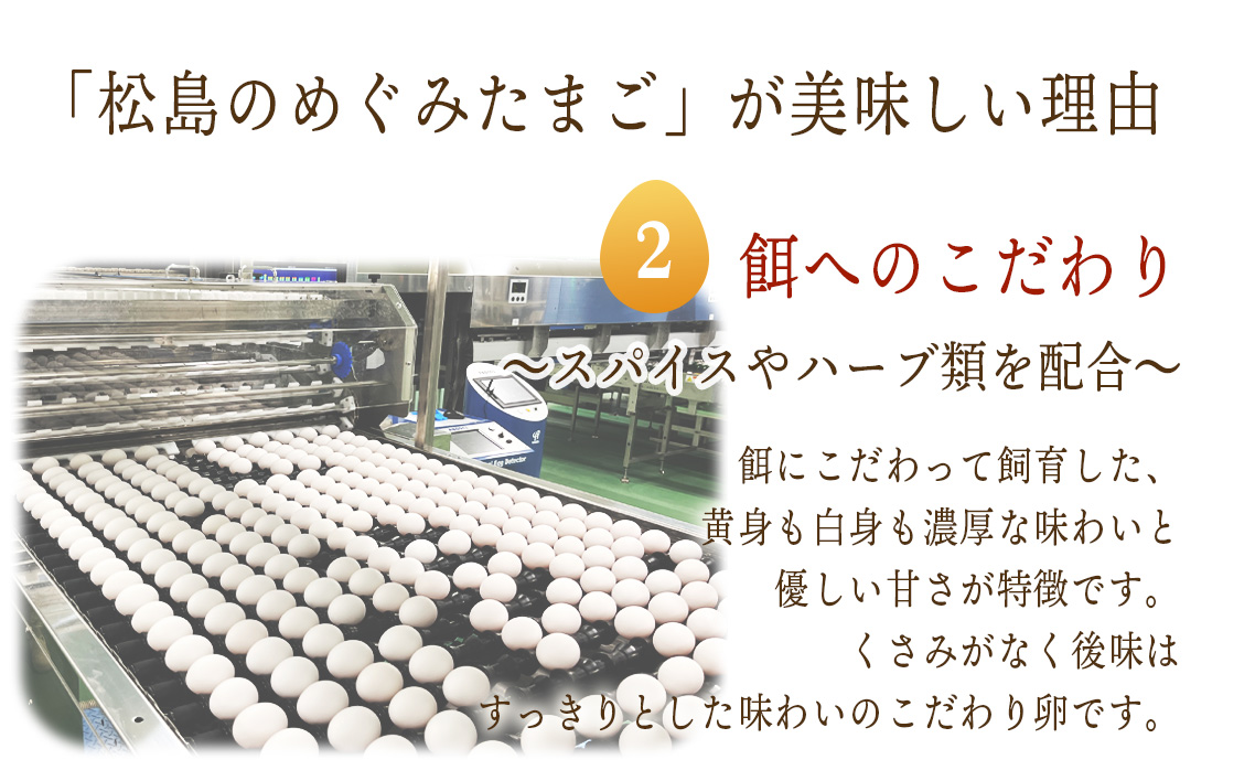 松島のめぐみたまご　40個入り　12ヵ月定期便 No.167
