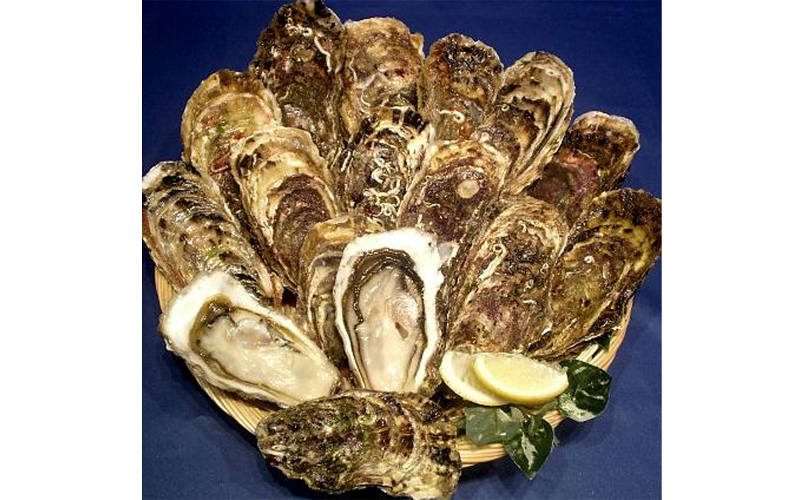 谿サ莉倥″迚。陟」20蛟具シ九が繧、繧ケ繧ソ繝シ繝翫う繝 No.181