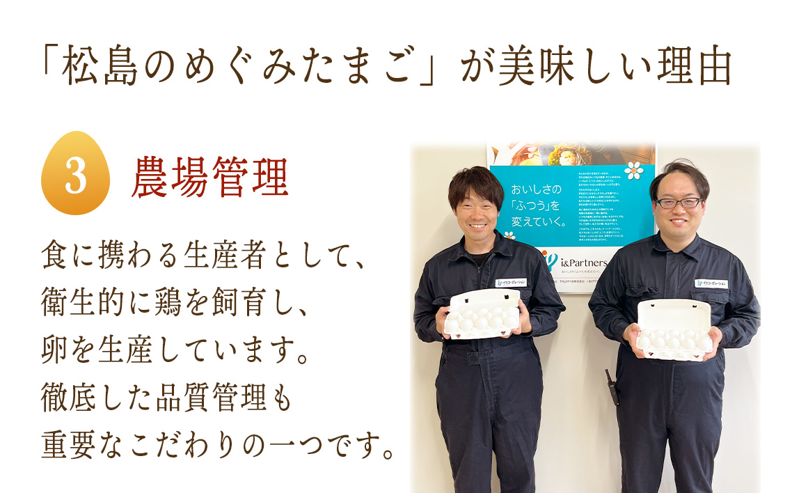 松島のめぐみたまご　40個入り　12ヵ月定期便 No.167