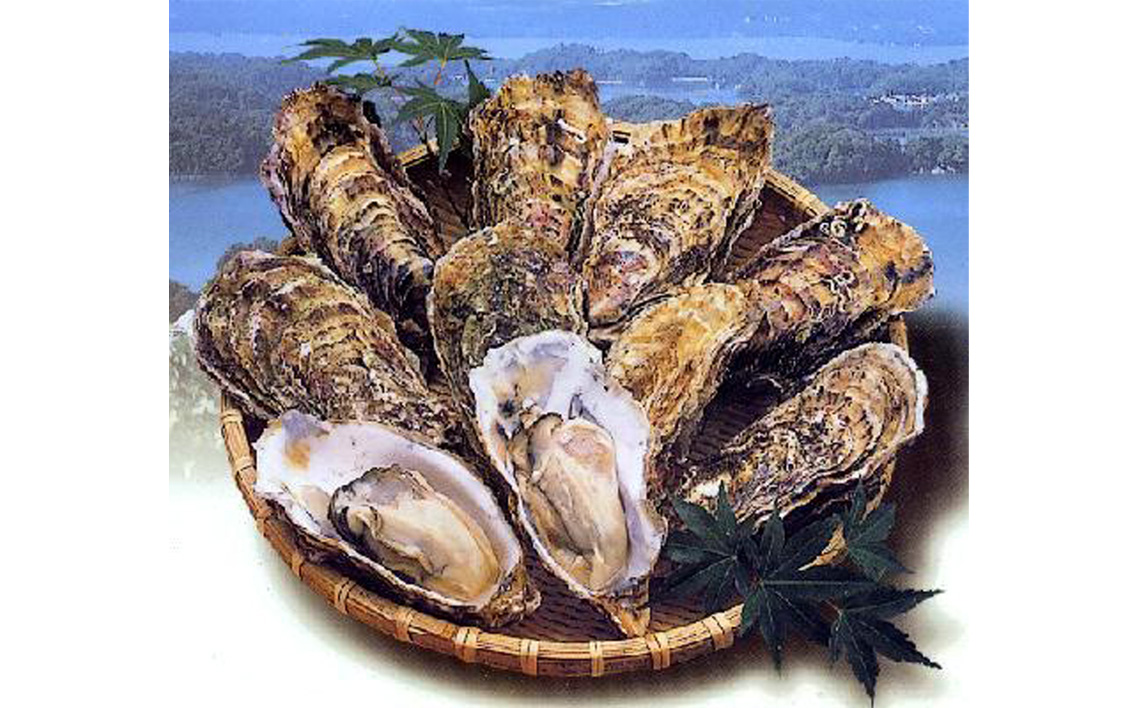 殻付き牡蠣10個＋オイスターナイフ No.175