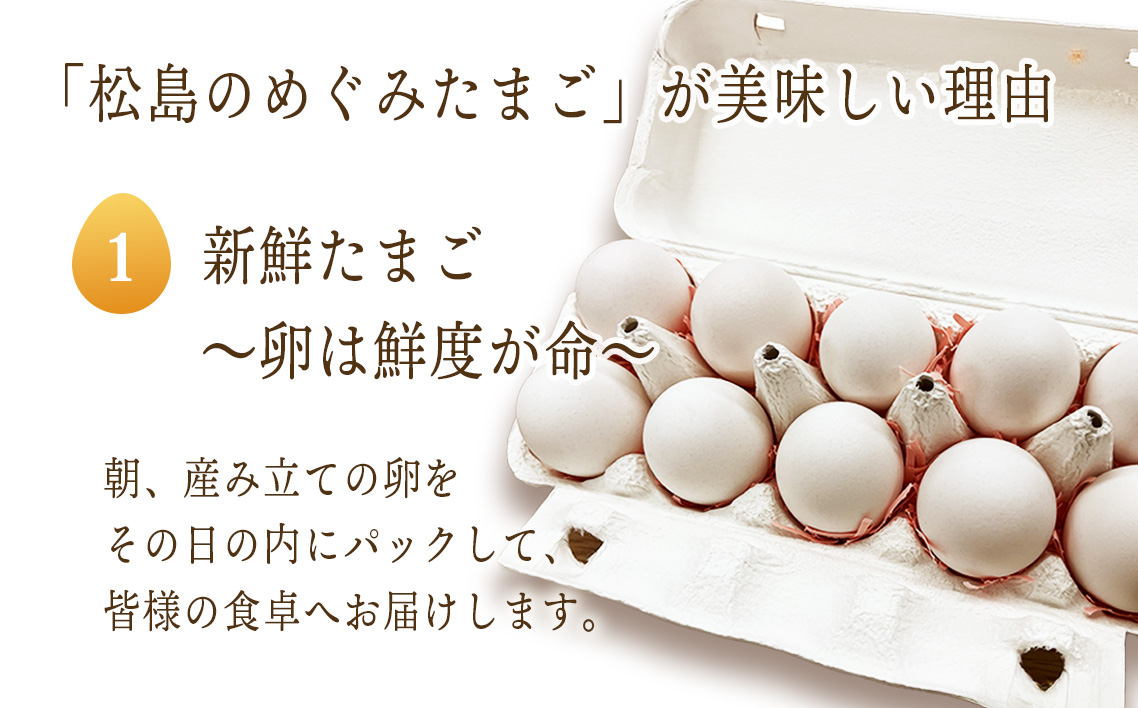 松島のめぐみたまご　40個入り　12ヵ月定期便 No.167