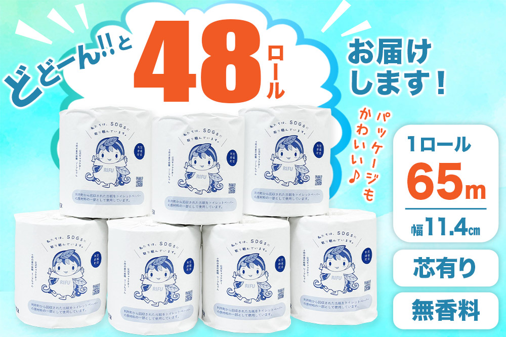 《定期便3ヶ月》【利府町オリジナル】トイレットペーパー（ロール数48個×3回）