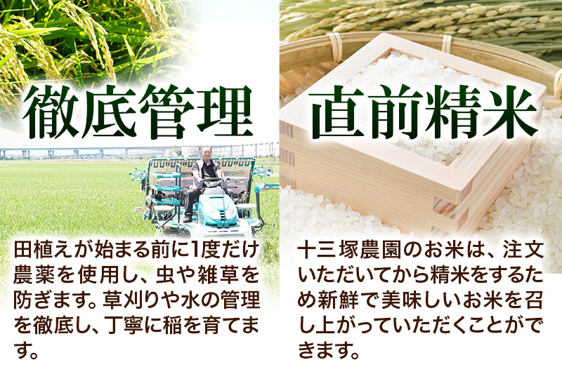 【白米】＜新米＞宮城県利府町産 一等米ひとめぼれ10kg(10kg×1) 令和6年産