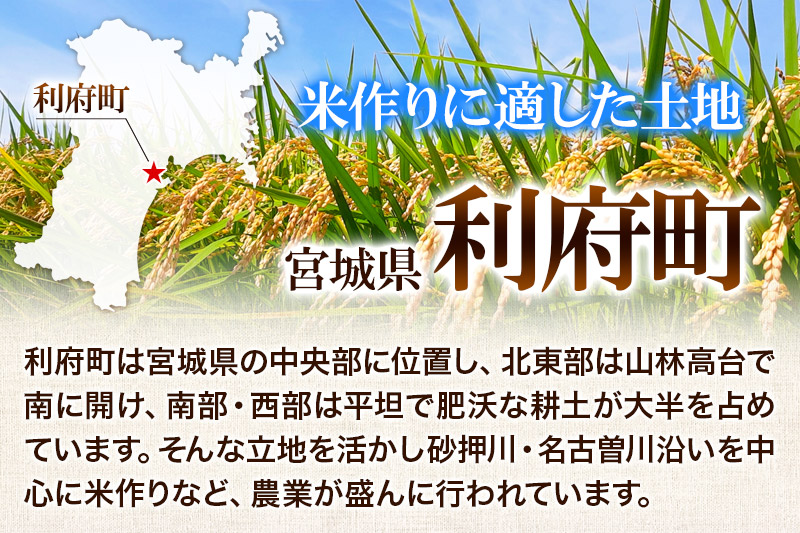 【無洗米】＜新米＞宮城県利府町産 一等米ひとめぼれ10kg(10kg×1) 令和6年産