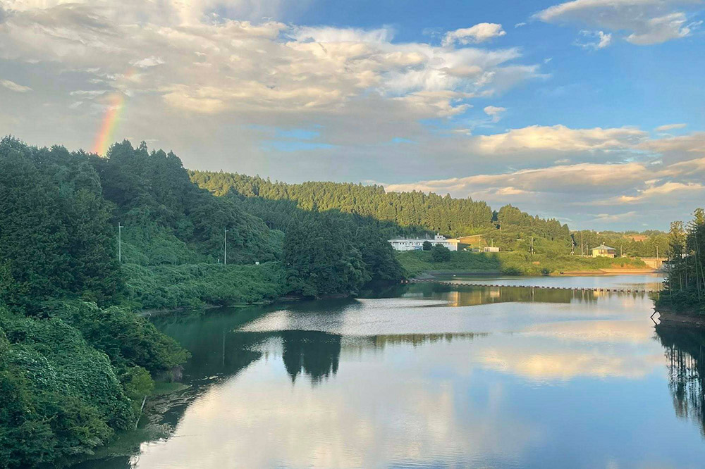 ãã ããã®èªå®¶çç
çç² çç³åºµãã¬ã³ã 100gÃ4è¢ãè±ã ã¹ãã·ã£ã«ãã£ã³ãŒããŒ